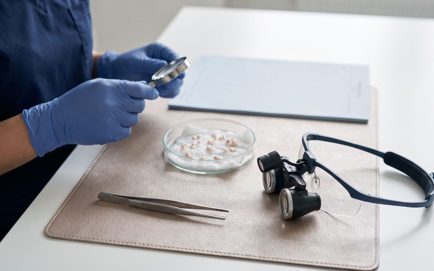 Graft planning tools and follicular samples for Afro-textured hair transplant